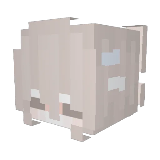 Magdalena123 Minecraft avatar head, 3D render