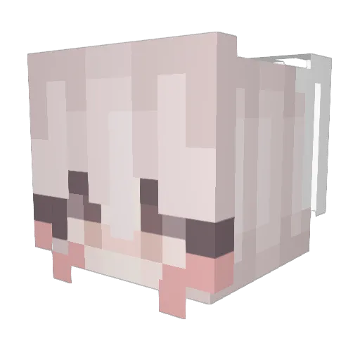 Mage1603 Minecraft avatar head, 3D render