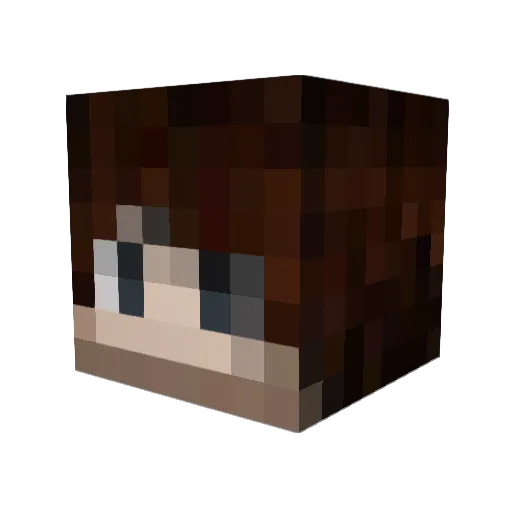 Mage3686 Minecraft avatar head, 3D render