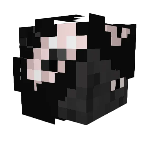 MageKid09 Minecraft avatar head, 3D render