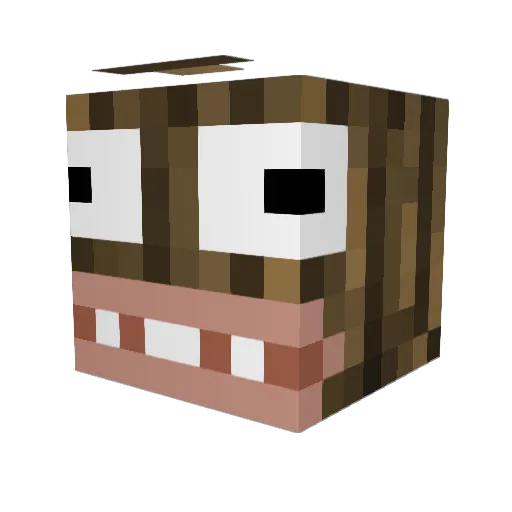 Magee65 Minecraft avatar head, 3D render