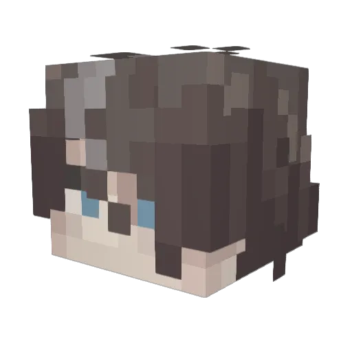 Magekol Minecraft avatar head, 3D render