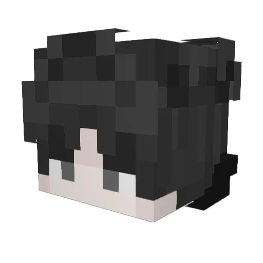 Magellan2002 Minecraft avatar head, 3D render