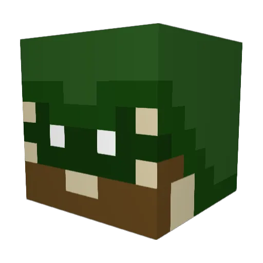 Magemonkey05 Minecraft avatar head, 3D render