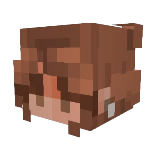 Magen48 Minecraft avatar head, 3D render