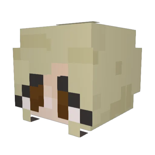MagentaGalaxyOG Minecraft avatar head, 3D render