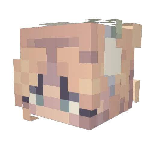 Magesty101 Minecraft avatar head, 3D render