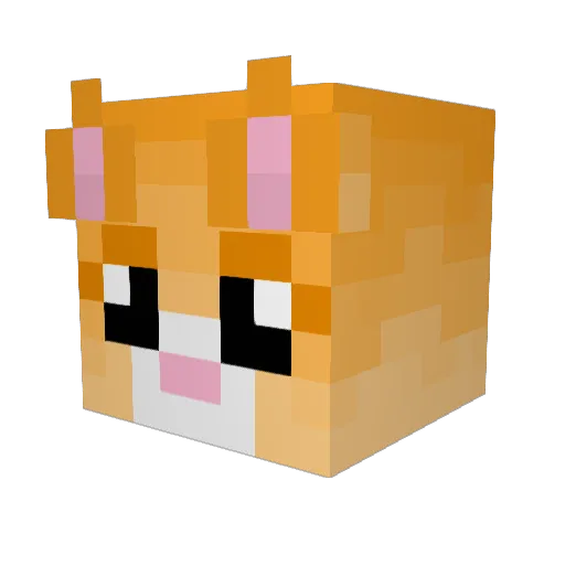 MaggiMagne2 Minecraft avatar head, 3D render