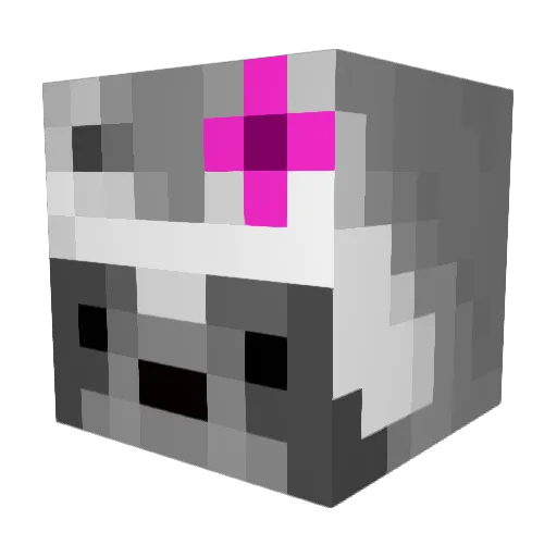 MaggiTheRaccon Minecraft avatar head, 3D render