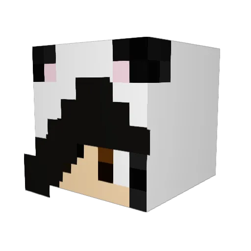 Maggie456 Minecraft avatar head, 3D render