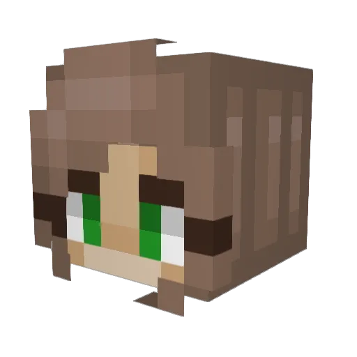 MaggieMay1 Minecraft avatar head, 3D render