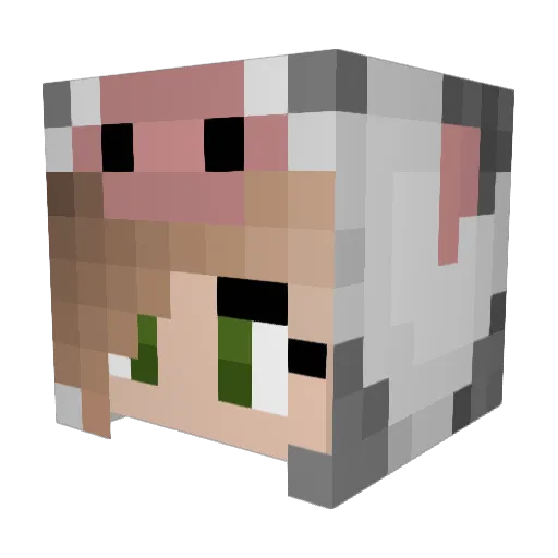 Maggiemoomoo45 Minecraft avatar head, 3D render