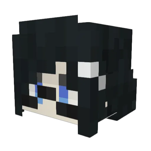 MaggotsUnderSkin Minecraft avatar head, 3D render