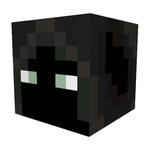 Magian42 Minecraft avatar head, 3D render