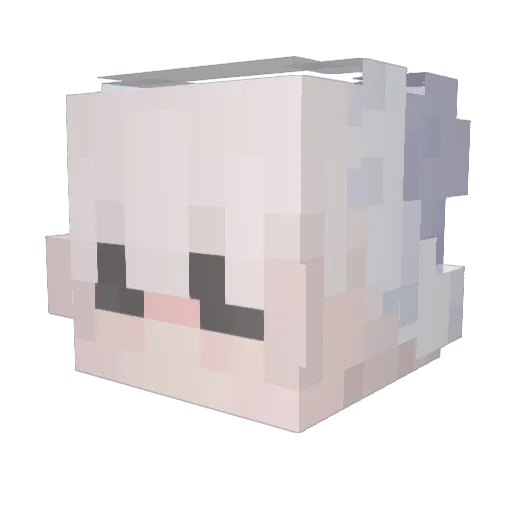 Magic2469 Minecraft avatar head, 3D render