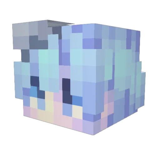 Magic8ball20 Minecraft avatar head, 3D render