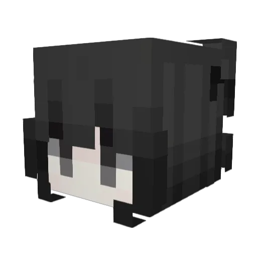 Magic9527 Minecraft avatar head, 3D render