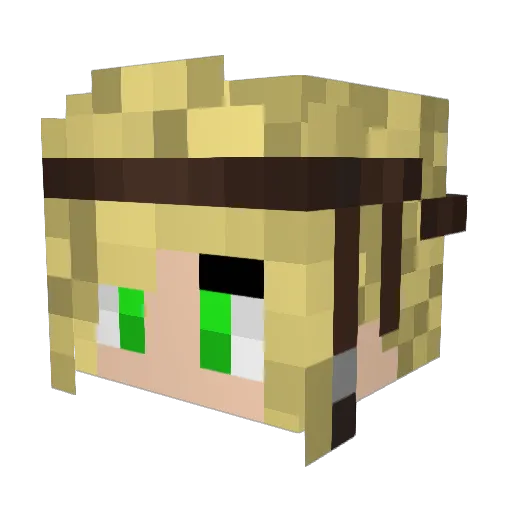MagicBookworm22 Minecraft avatar head, 3D render