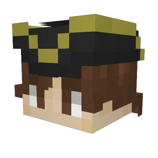 MagicCam144 Minecraft avatar head, 3D render