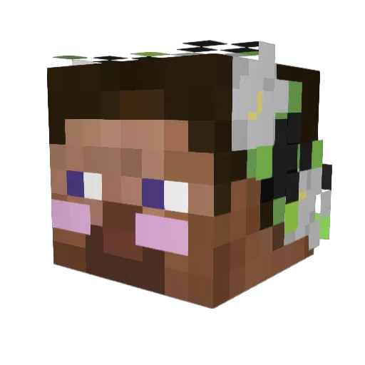 MagicCircle5687 Minecraft avatar head, 3D render