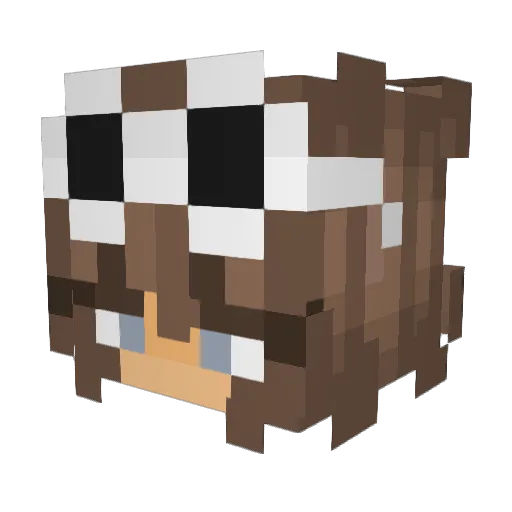 MagicEmily Minecraft avatar head, 3D render