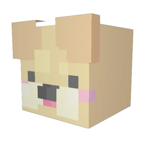 MagicGehnsen Minecraft avatar head, 3D render