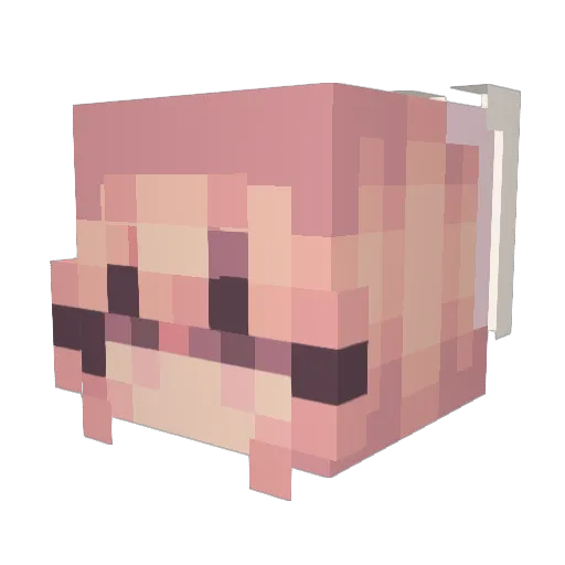 MagicGirl01 Minecraft avatar head, 3D render