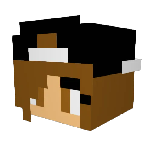 MagicGnome01 Minecraft avatar head, 3D render