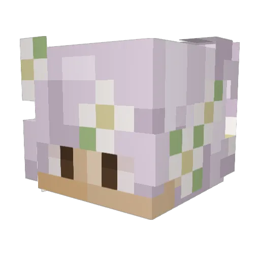MagicKalediscope Minecraft avatar head, 3D render