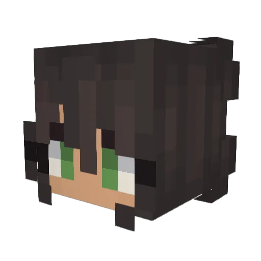 MagicKat2323 Minecraft avatar head, 3D render