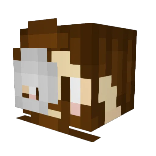 MagicLentilSoup Minecraft avatar head, 3D render
