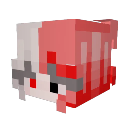 MagicMagpie13 Minecraft avatar head, 3D render