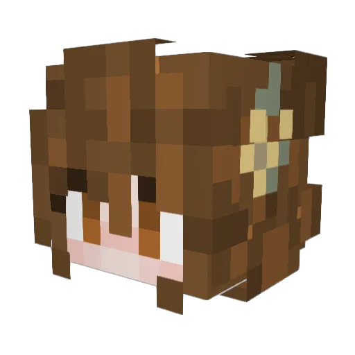 MagicMoony Minecraft avatar head, 3D render