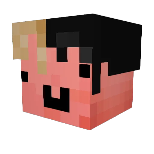 MagicMushyyy Minecraft avatar head, 3D render