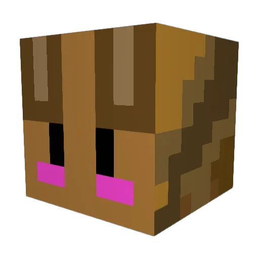 MagicOstrich705 Minecraft avatar head, 3D render
