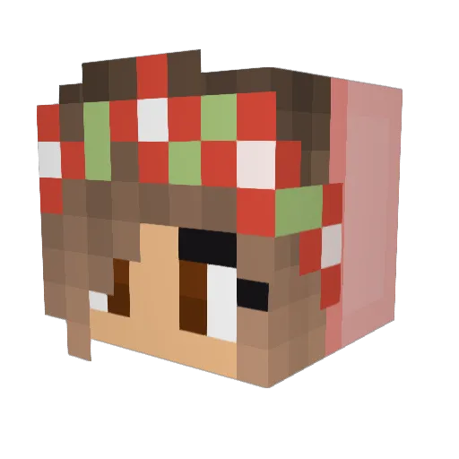 MagicPickle649 Minecraft avatar head, 3D render