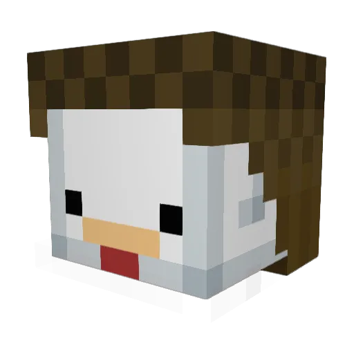 MagicSkyLP Minecraft avatar head, 3D render