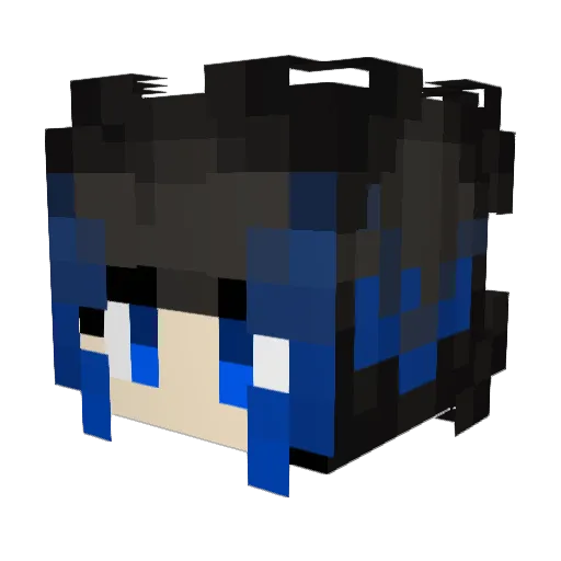 MagicTurkey9621 Minecraft avatar head, 3D render