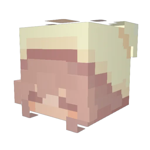 MagicZoey Minecraft avatar head, 3D render