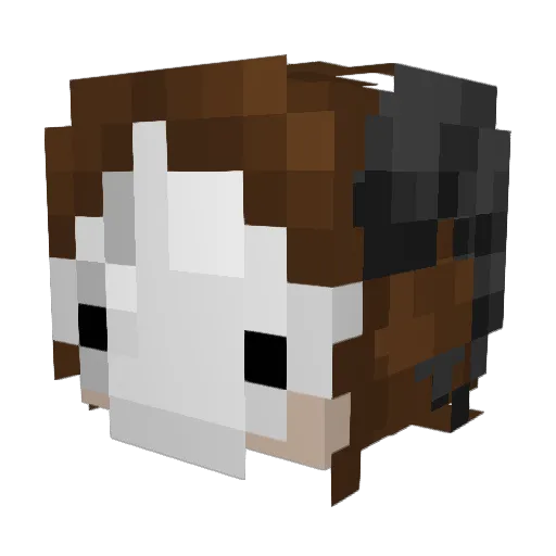 Magic_An Minecraft avatar head, 3D render