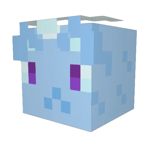 Magic_Boy1249 Minecraft avatar head, 3D render