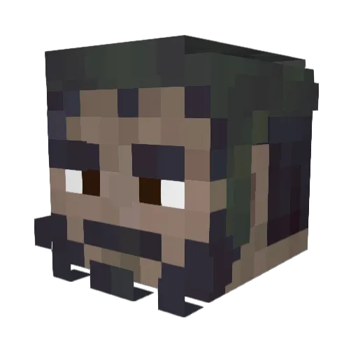 Magic_Catfish Minecraft avatar head, 3D render