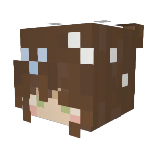 Magic_Meatball Minecraft avatar head, 3D render