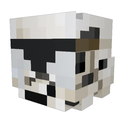 Magic_Mees Minecraft avatar head, 3D render