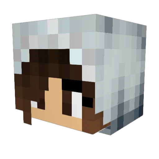 Magic_Sarah Minecraft avatar head, 3D render