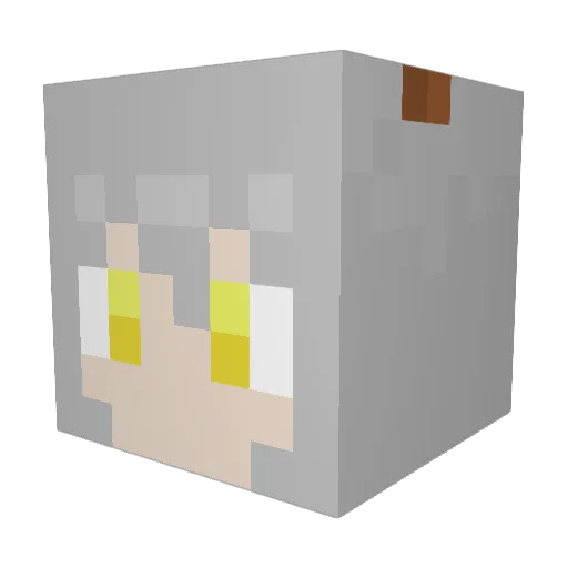 MagicalBeaver Minecraft avatar head, 3D render