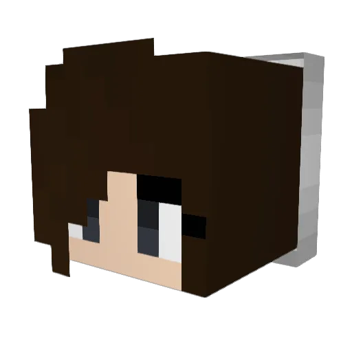 MagicalBook Minecraft avatar head, 3D render