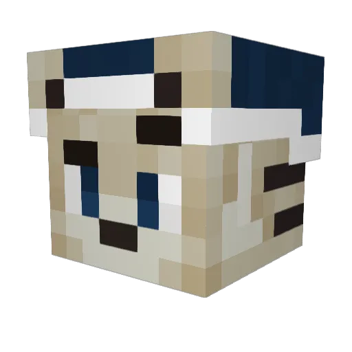 MagicalCombo Minecraft avatar head, 3D render