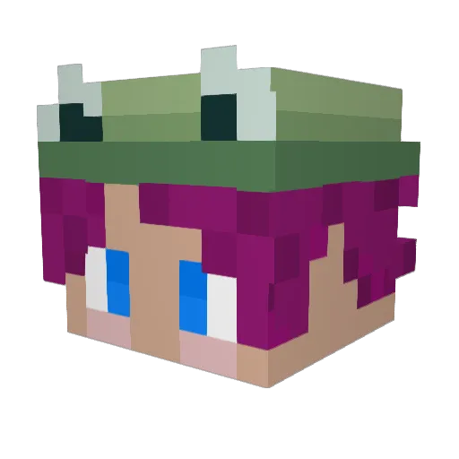 MagicalFrog1358 Minecraft avatar head, 3D render