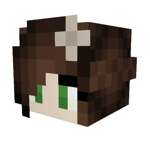 MagicalGnomie Minecraft avatar head, 3D render